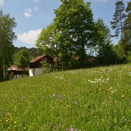 Apartment Gemuetliche In Berghaeuser Mit Kleinem Garten By Interhome *